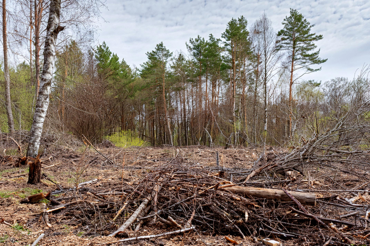 Prix d’un terrain non constructible : estimation, prix au m2…